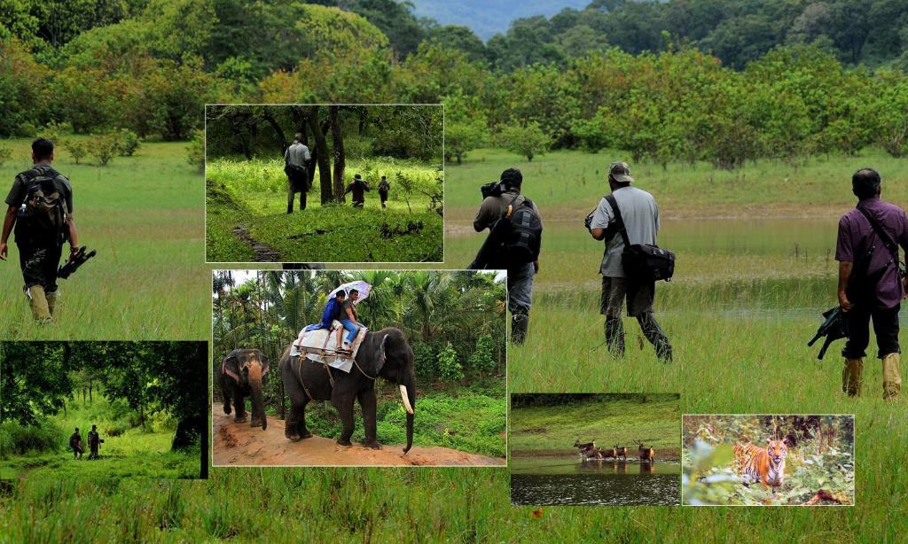 Jungle Park Resorts Thekkady Extérieur photo