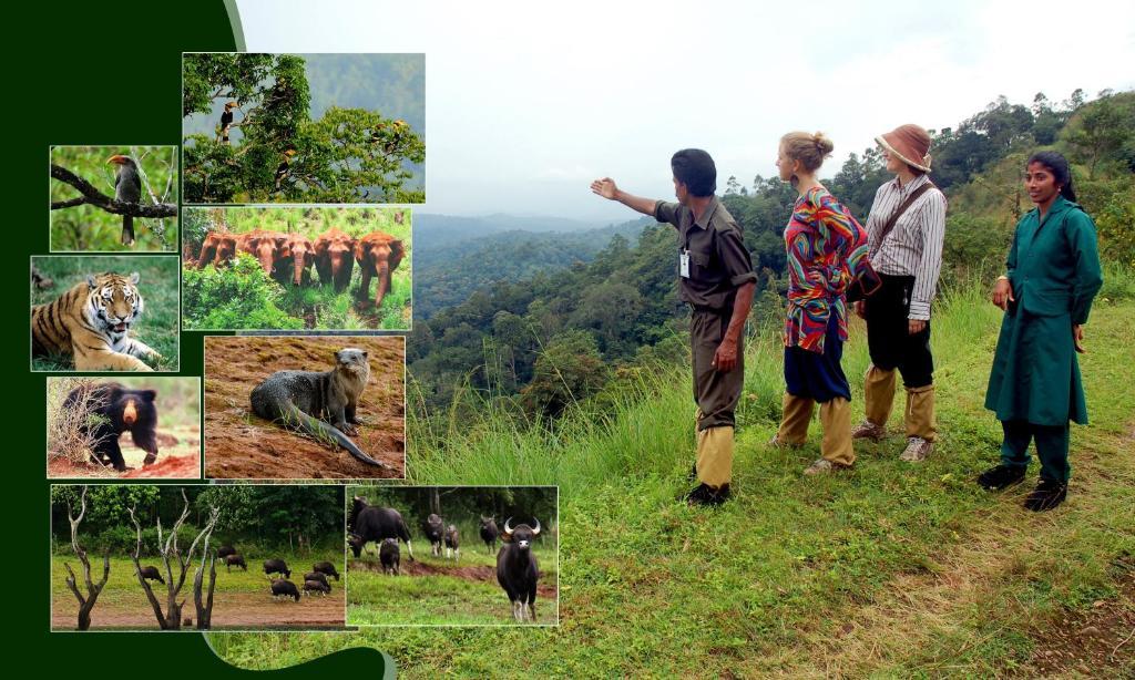 Jungle Park Resorts Thekkady Extérieur photo